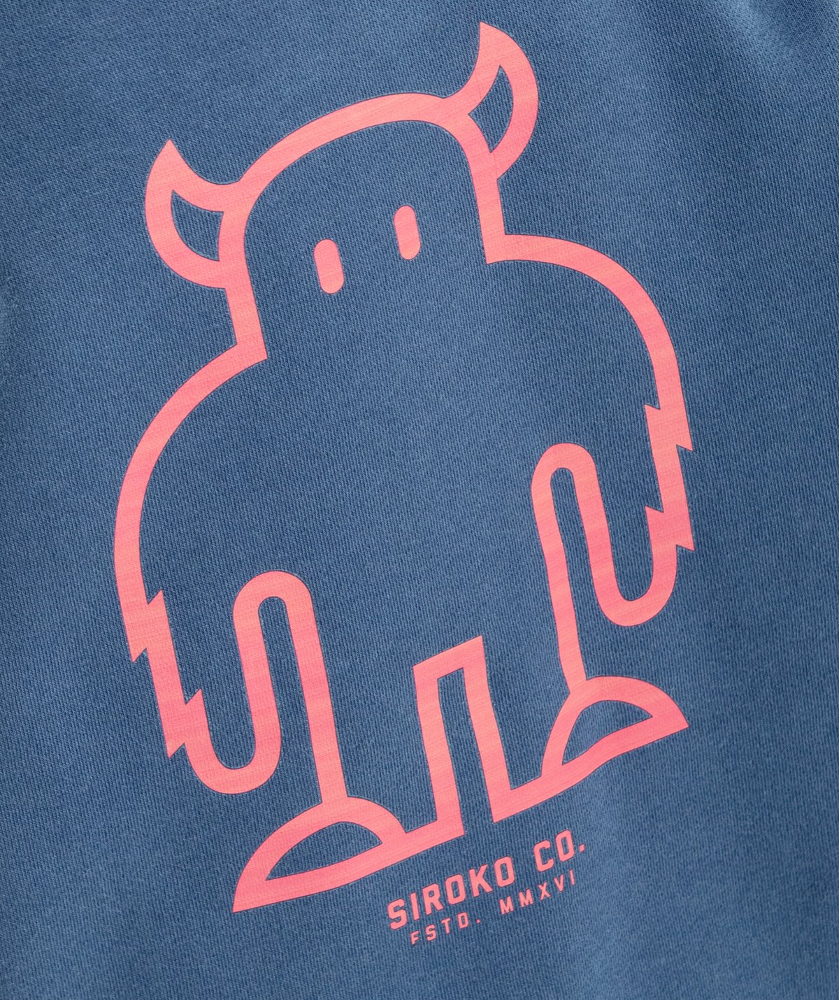 Sweatshirt fÃ¼r Jungen Siroko Glob